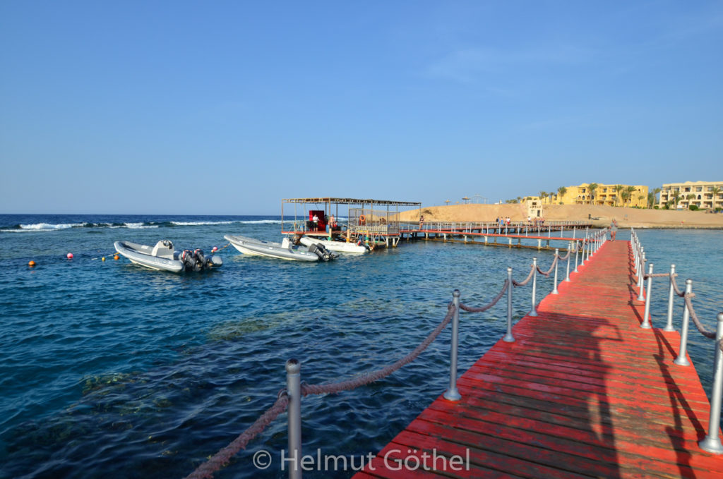 DSC_7062.jpg